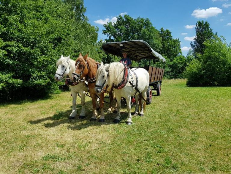 Kutsche mit drei Pferden